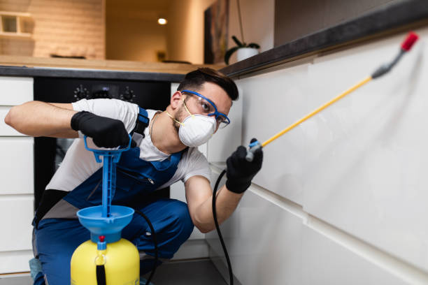 Best Best Pest Control Companies  in Gerdine, AL