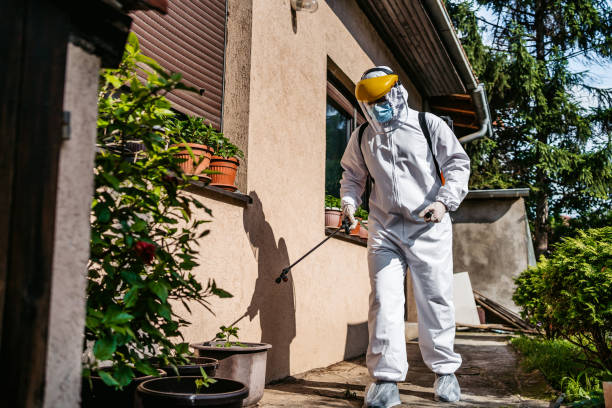 Best Best Pest Control Near Me  in Gerdine, AL