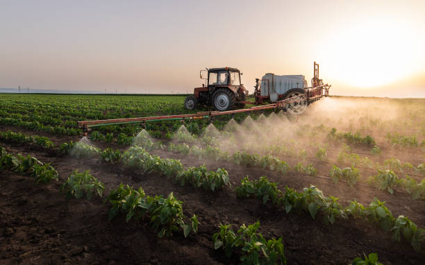 Best Pest Control Near Me  in Gerdine, AL