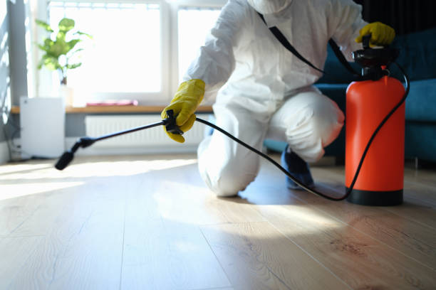 Best Pest Control Near Me in Geraldine, AL