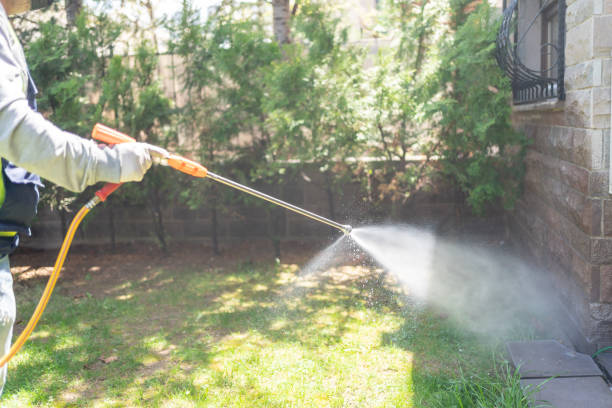 Best Ant Control Services  in Gerdine, AL
