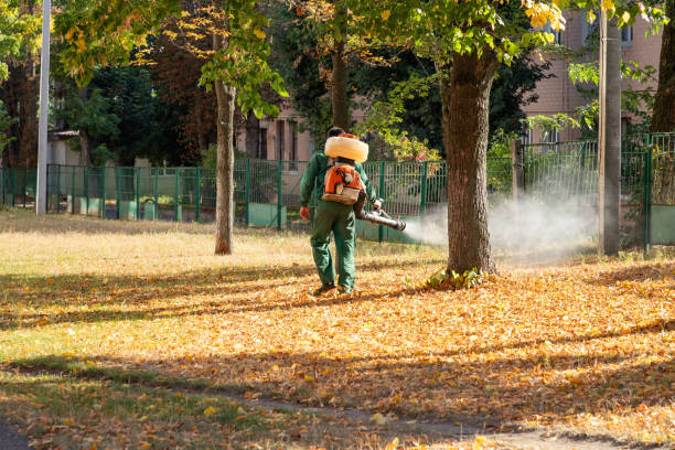Best Emergency Pest Control  in Gerdine, AL