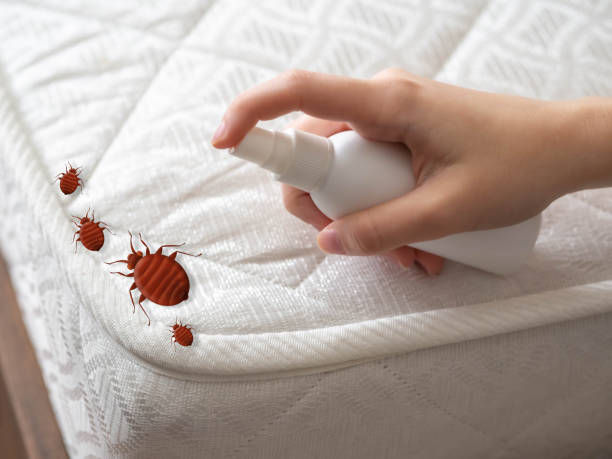 Best Wildlife Control Services  in Gerdine, AL