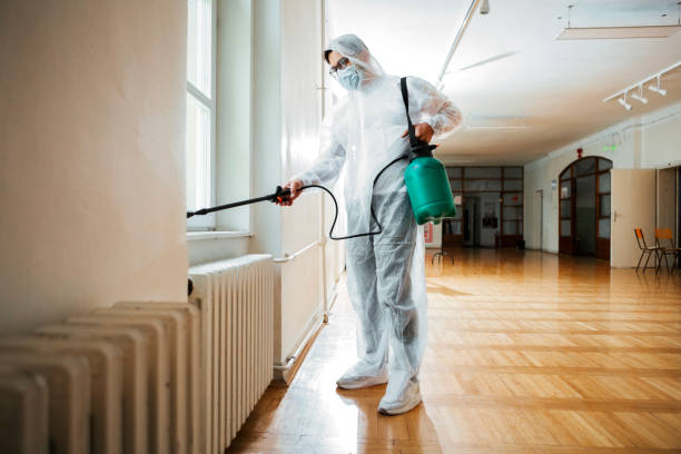 Best Exterminator Services  in Gerdine, AL