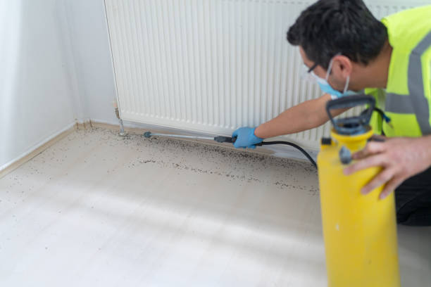 Best Pest Prevention Services  in Gerdine, AL
